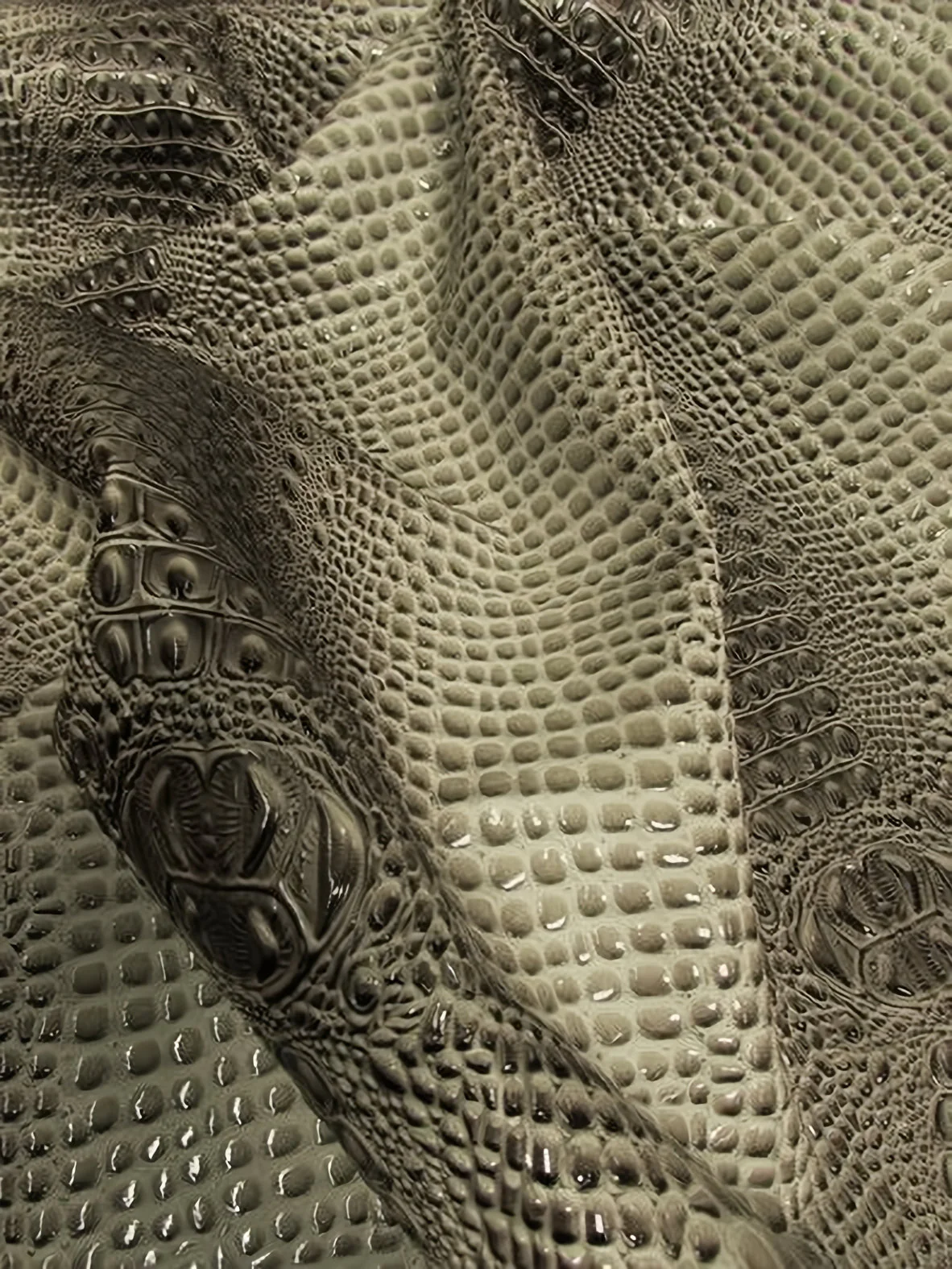 Honey Caramel Florida Gator 3D Embossed Vinyl Fabric / Sold By The Yard 37 Honey Caramel Florida Gator 3D Embossed Vinyl Fabric / Sold By The Yard