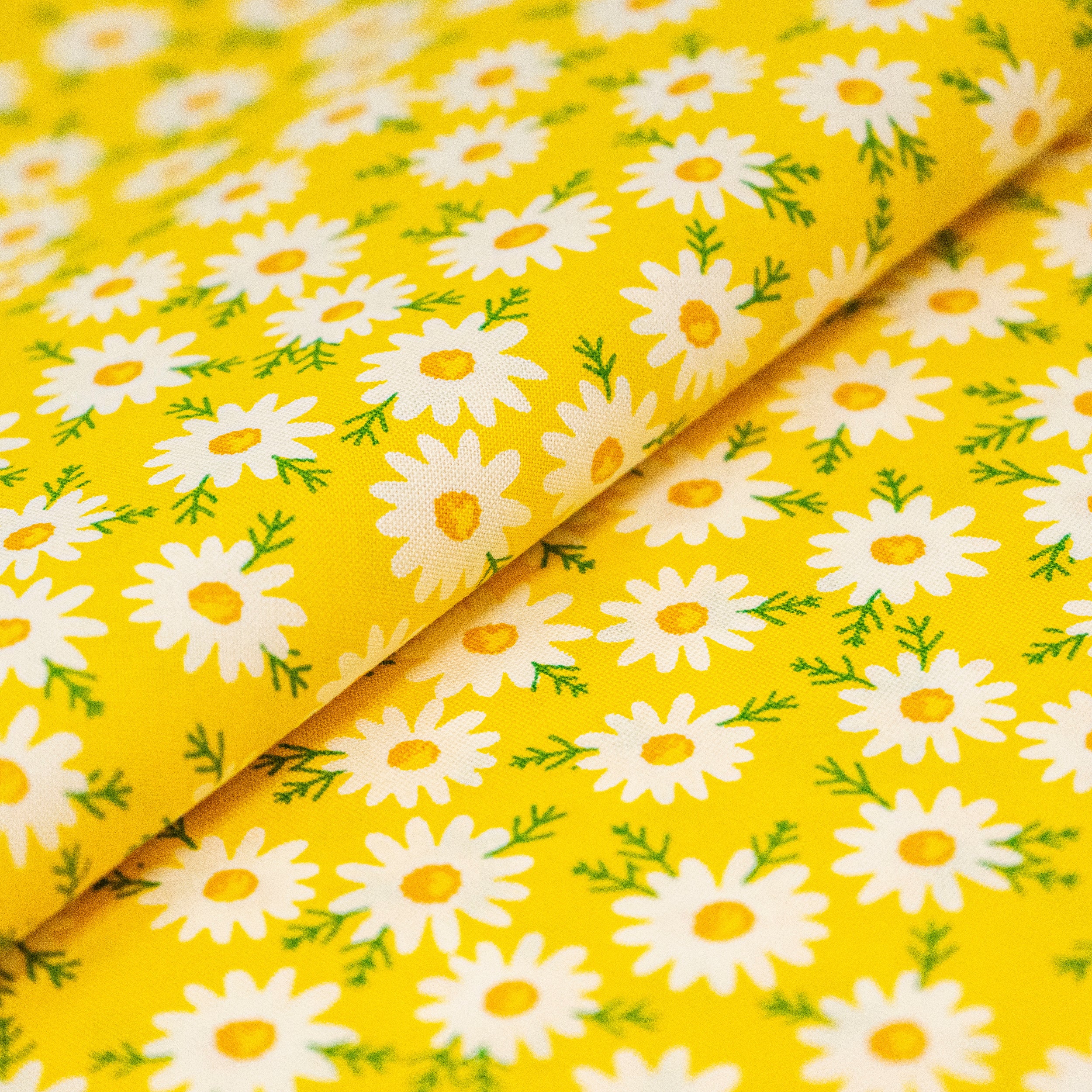 SINGER® Fabric, 100% Cotton, 44 Inch Wide, Daisys On Yellow, Cut by the Yard 2 SINGER® Fabric, 100% Cotton, 44 Inch Wide, Daisys On Yellow, Cut by the Yard