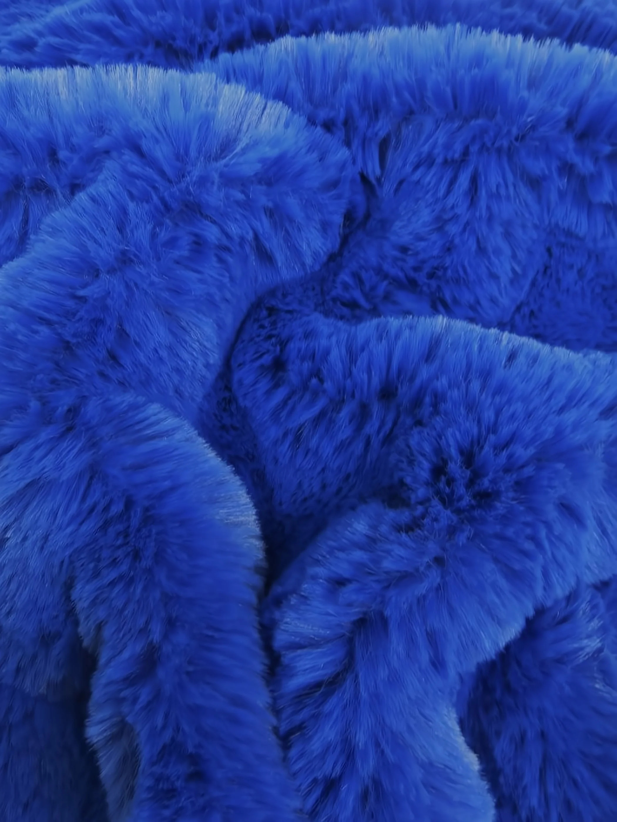 Arctic Rabbit Minky / Royal Blue 1 Arctic Rabbit Minky / Royal Blue